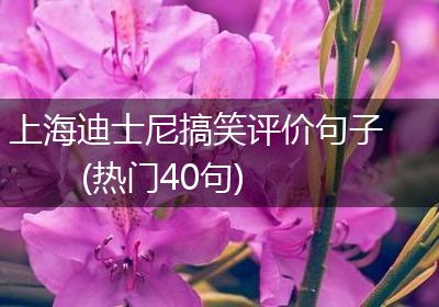 上海迪士尼搞笑评价句子(热门40句)
