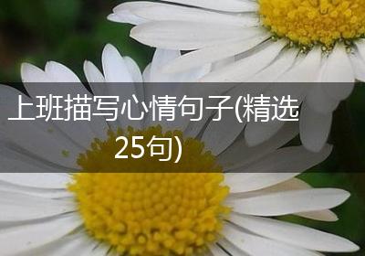 上班描写心情句子(精选25句)
