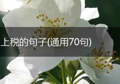 上税的句子(通用70句)