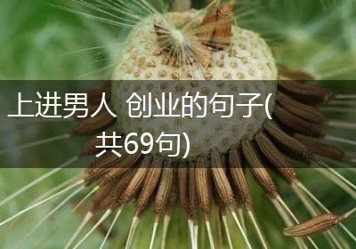 上进男人 创业的句子(共69句)