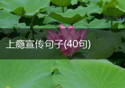 上瘾宣传句子(40句)