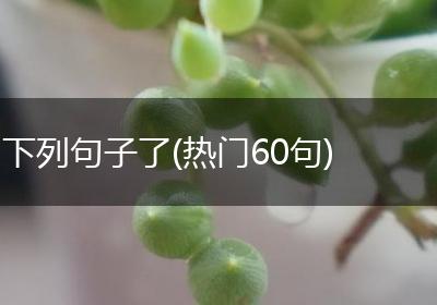 下列句子了(热门60句)