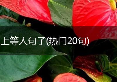 上等人句子(热门20句)