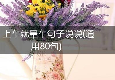 上车就晕车句子说说(通用80句)