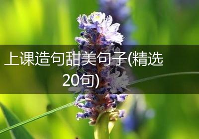 上课造句甜美句子(精选20句)