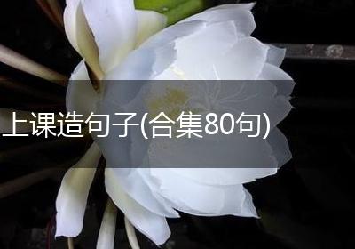 上课造句子(合集80句)