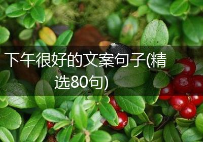 下午很好的文案句子(精选80句)