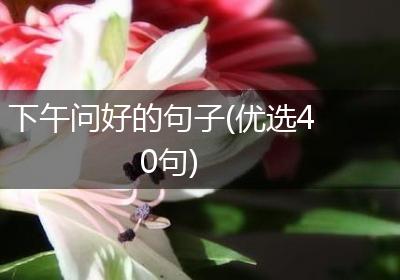 下午问好的句子(优选40句)