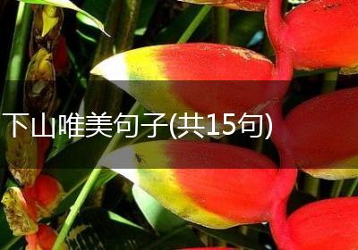 下山唯美句子(共15句)