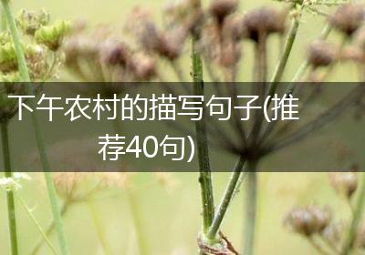 下午农村的描写句子(推荐40句)