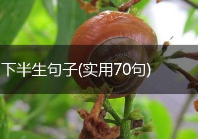下半生句子(实用70句)
