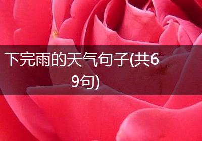 下完雨的天气句子(共69句)