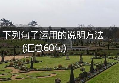 下列句子运用的说明方法(汇总60句)