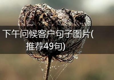 下午问候客户句子图片(推荐49句)
