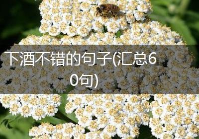 下酒不错的句子(汇总60句)