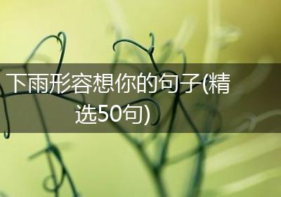 下雨形容想你的句子(精选50句)