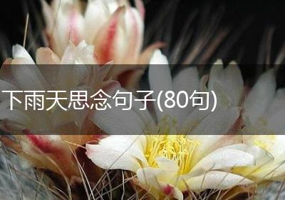 下雨天思念句子(80句)