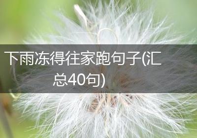 下雨冻得往家跑句子(汇总40句)