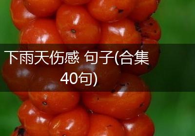 下雨天伤感 句子(合集40句)