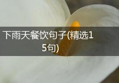 下雨天餐饮句子(精选15句)