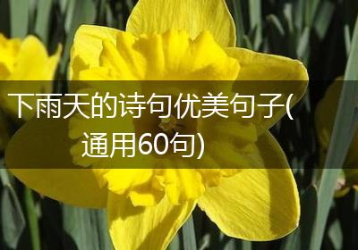 下雨天的诗句优美句子(通用60句)