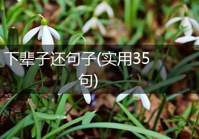 下辈子还句子(实用35句)