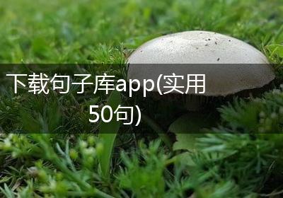 下载句子库app(实用50句)