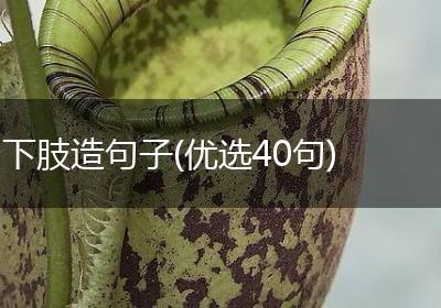下肢造句子(优选40句)