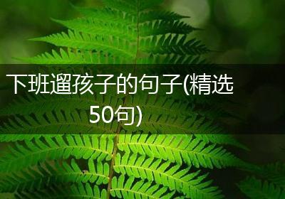 下班遛孩子的句子(精选50句)