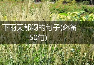 下雨天郁闷的句子(必备50句)