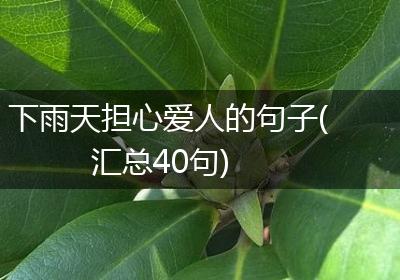下雨天担心爱人的句子(汇总40句)