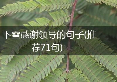 下雪感谢领导的句子(推荐71句)