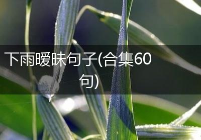 下雨暧昧句子(合集60句)