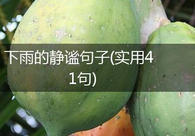 下雨的静谧句子(实用41句)