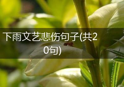 下雨文艺悲伤句子(共20句)