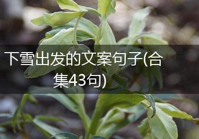 下雪出发的文案句子(合集43句)