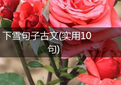 下雪句子古文(实用10句)