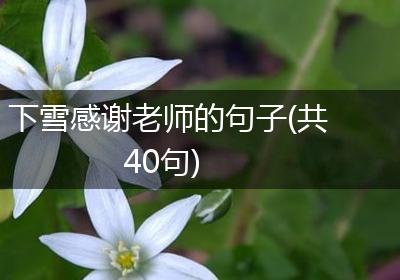 下雪感谢老师的句子(共40句)