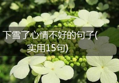 下雪了心情不好的句子(实用15句)