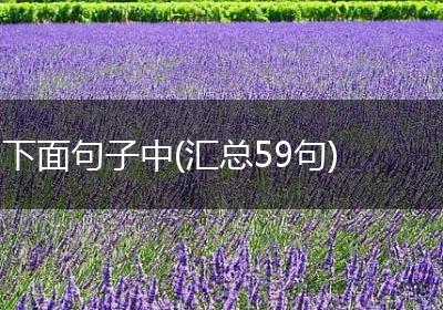 下面句子中(汇总59句)