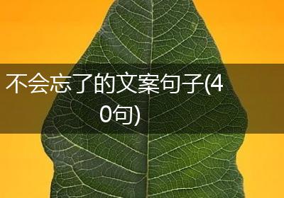 不会忘了的文案句子(40句)