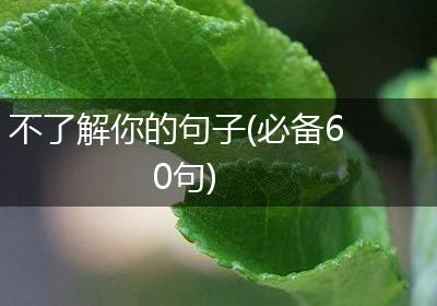 不了解你的句子(必备60句)