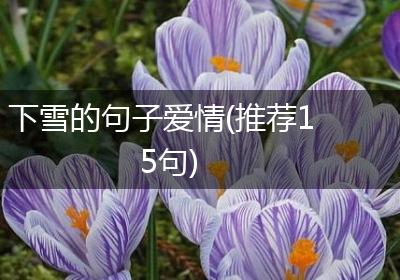 下雪的句子爱情(推荐15句)