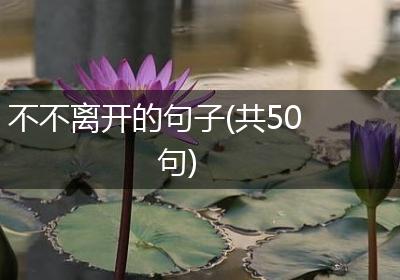 不不离开的句子(共50句)