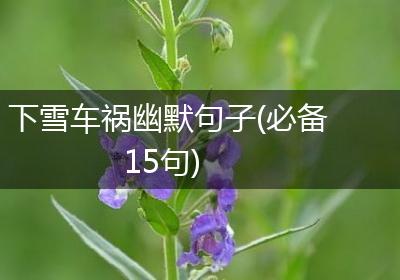 下雪车祸幽默句子(必备15句)