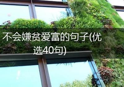 不会嫌贫爱富的句子(优选40句)