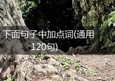 下面句子中加点词(通用120句)