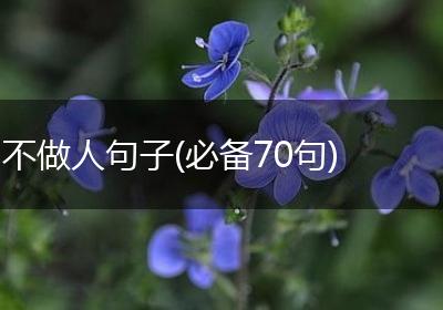不做人句子(必备70句)
