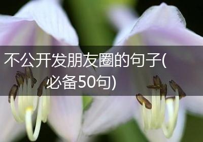 不公开发朋友圈的句子(必备50句)