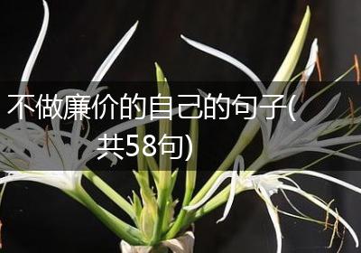 不做廉价的自己的句子(共58句)